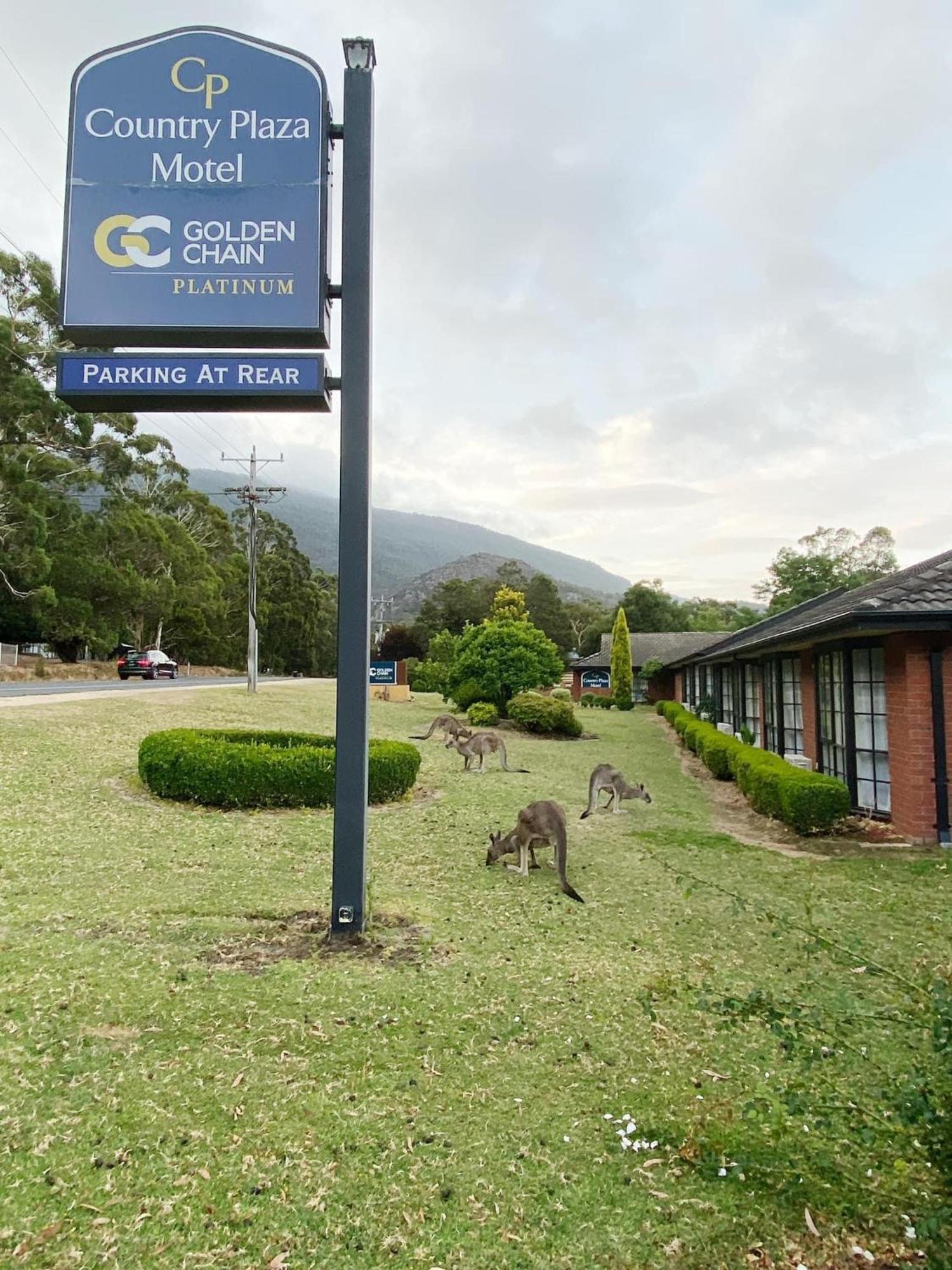 Golden Chain Country Plaza Motel Halls Gap Εξωτερικό φωτογραφία