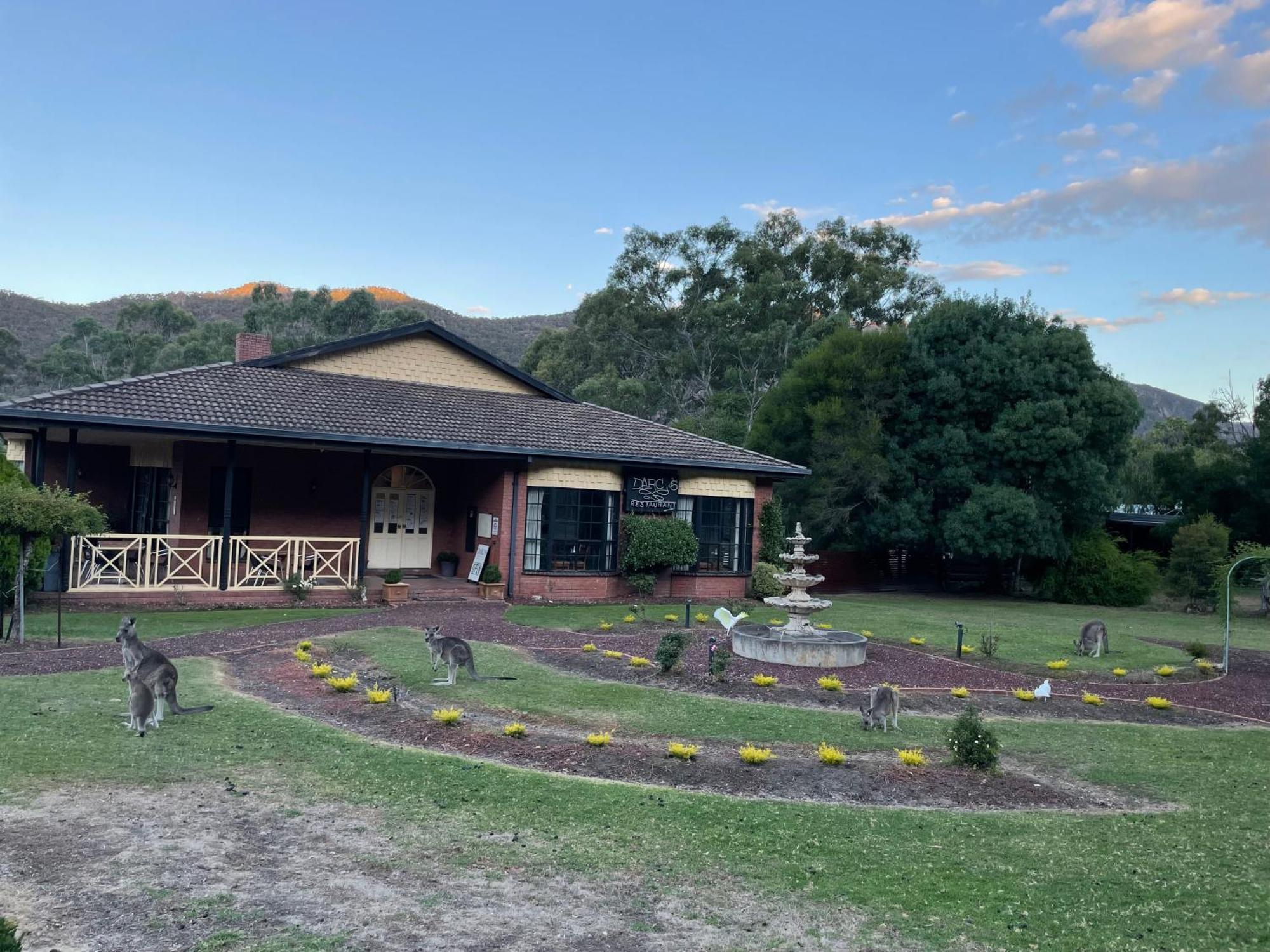 Golden Chain Country Plaza Motel Halls Gap Εξωτερικό φωτογραφία